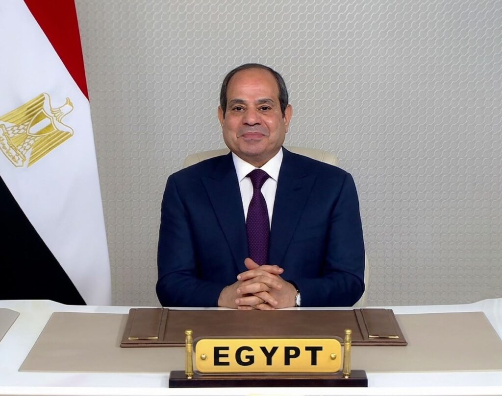 حسن عمار: كلمة الرئيس في يوم أفريقيا وثيقة استراتيجية لتعزيز التكامل الأفريقى