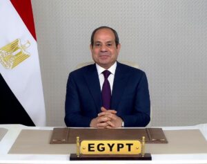حسن عمار: كلمة الرئيس في يوم أفريقيا وثيقة استراتيجية لتعزيز التكامل الأفريقى